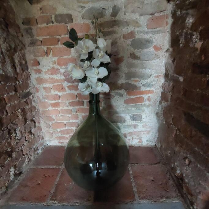 Istanti - Rosmarino Appartement Costigliole Saluzzo Buitenkant foto
